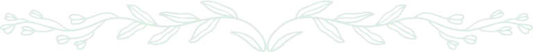 ornament1 999x98 1